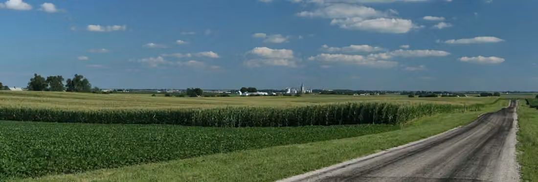 Cornfields near Royal · Central Illinois farmland