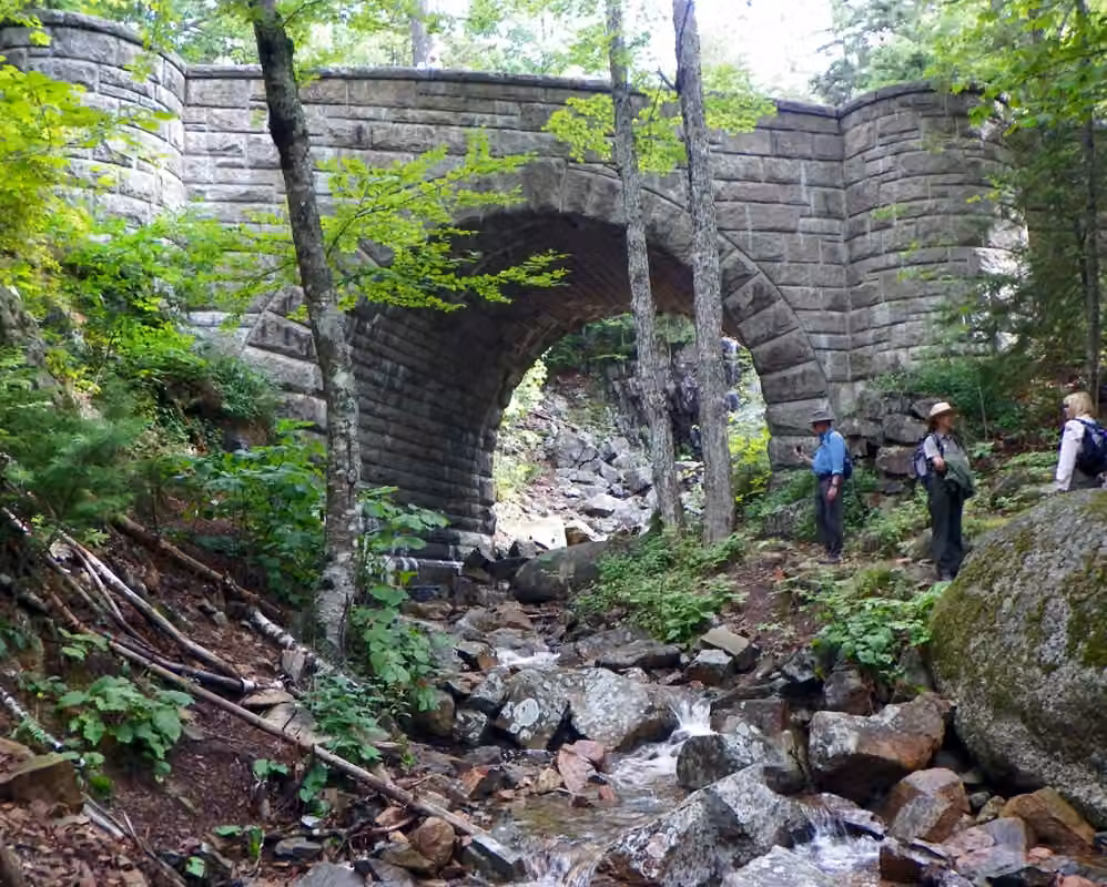 Acadia carriage-road stone bridge · A road following the wooded terrain