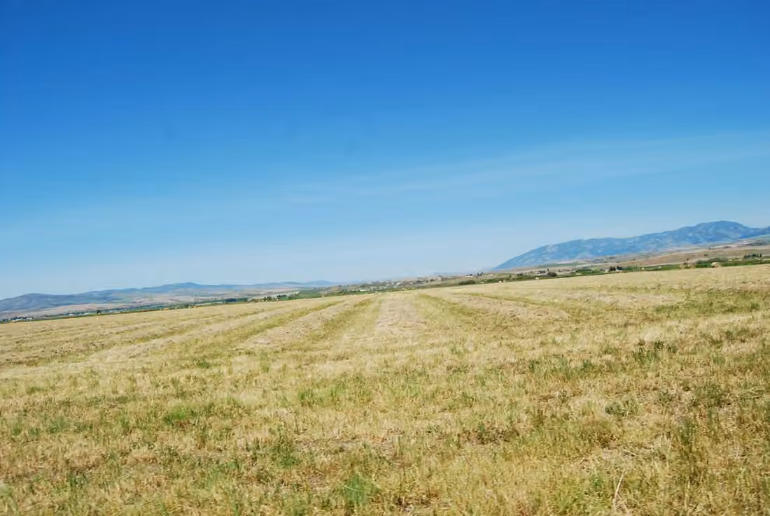 Fields near Belgrade · Mountains meet plains