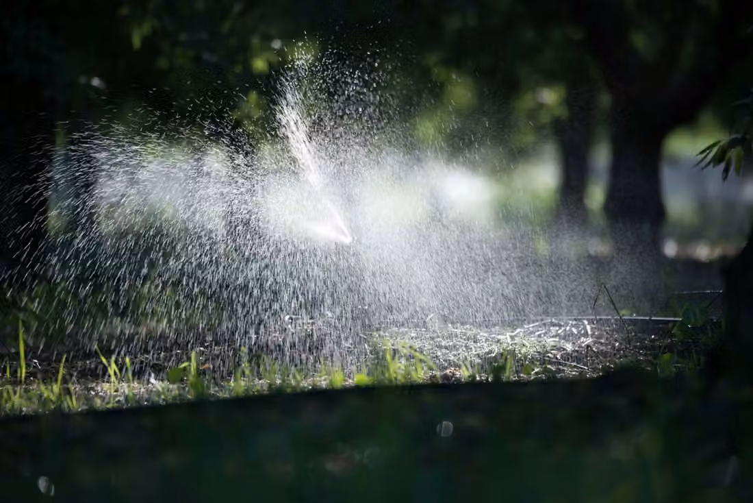 California orchards: Micro Irrigation and Surface Mulching Management