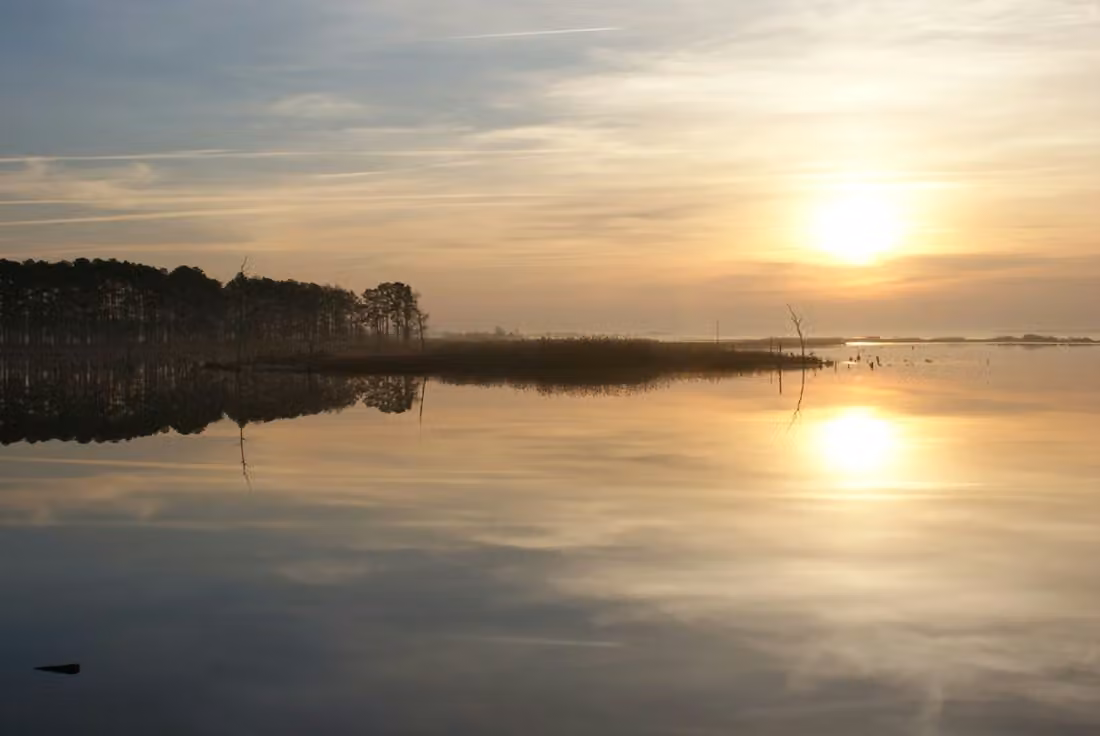 Blackwater National Wildlife Refuge · Rivers and Eastern Coastal Wetlands
