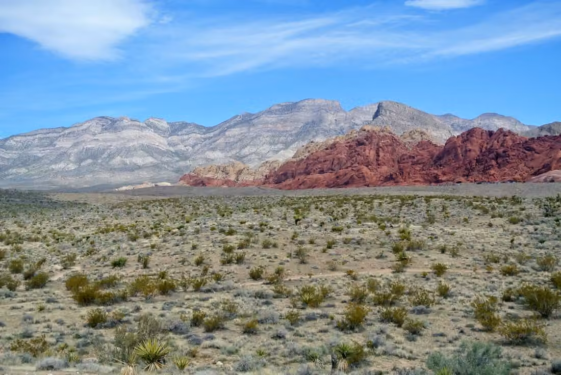 Red Rock Canyon National Conservation Area · Cliffs and desert vegetation in southern Nevada