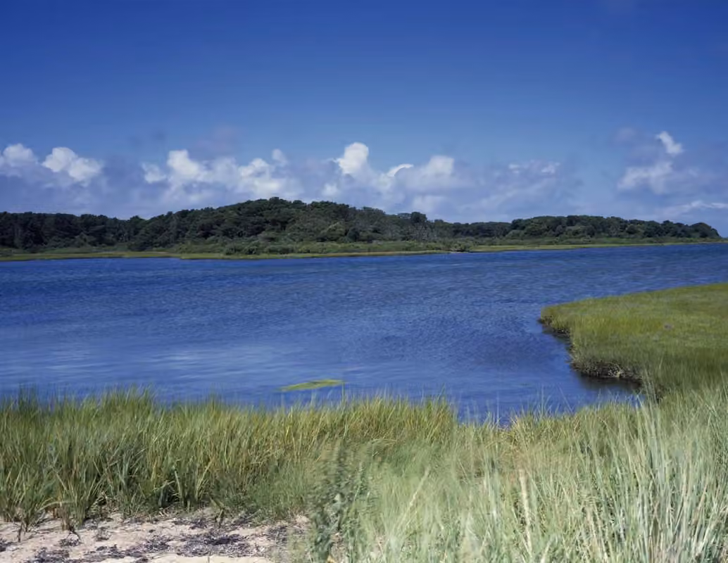 Near Beaufort · Salt marshes and tidal creeks