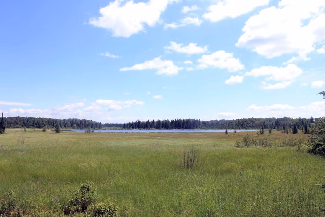 Voyageurs National Park · Wetlands, lakes and forests