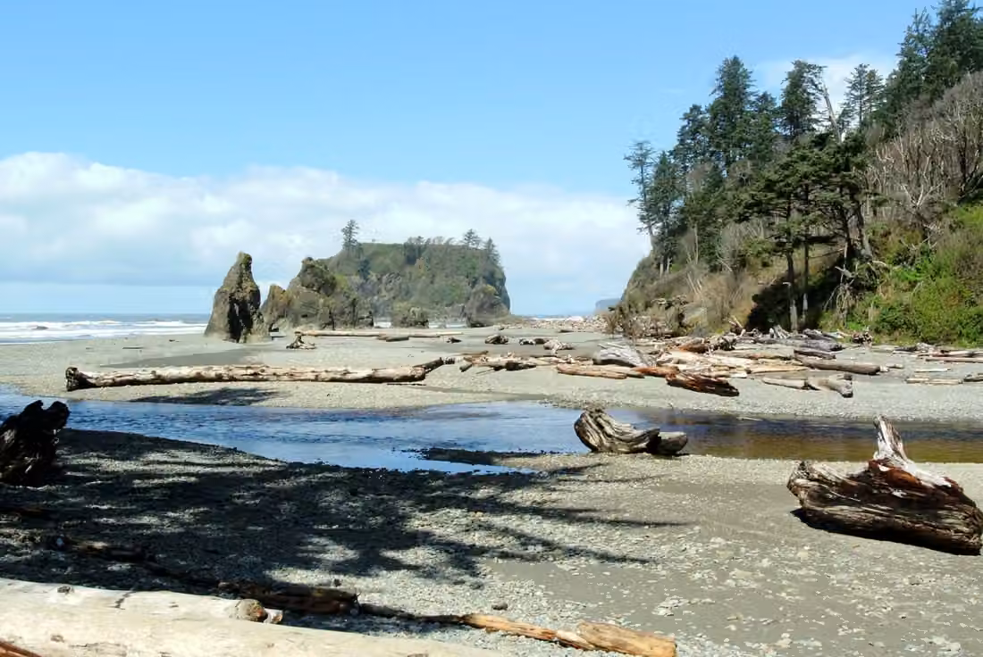 Ruby Beach · Cedar Creek, sea stacks, and the Olympic coast